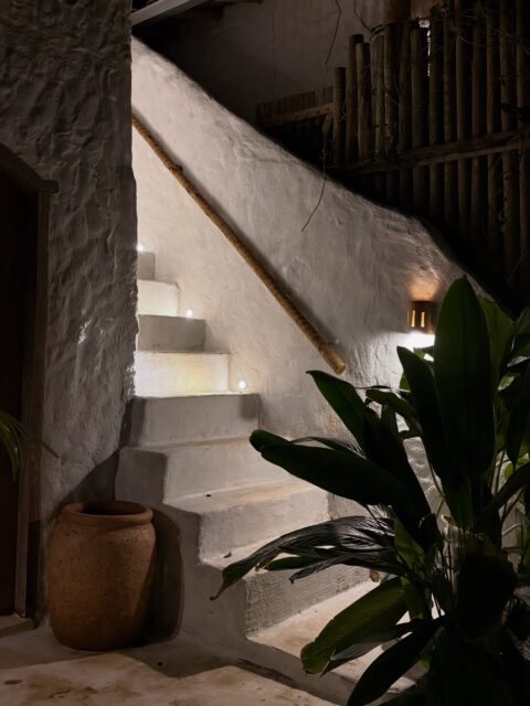 Vila Bem te vi, Trancoso | 2026 
Vasos de barro, muita madeira, uma piscina borda infinita, teto de madeira, luminárias de palha, imersos na natureza, design baiano, orgulhasamente Brasileiros. 🇧🇷🤍 
O Brasil mais um vez nos surpreendendo no quesito hotelaria . 
.

@vila.bemtevi
.

Vila Bem-te-vi, Trancoso | 2026
Vasi in terracotta, tanto legno, una piscina a sfioro, soffitti in legno, lampade in paglia, completamente immersi nella natura.
Design baiano, orgogliosamente brasiliano. 🇧🇷🤍
Ancora una volta, il Brasile riesce a sorprenderci quando si parla di hotellerie.